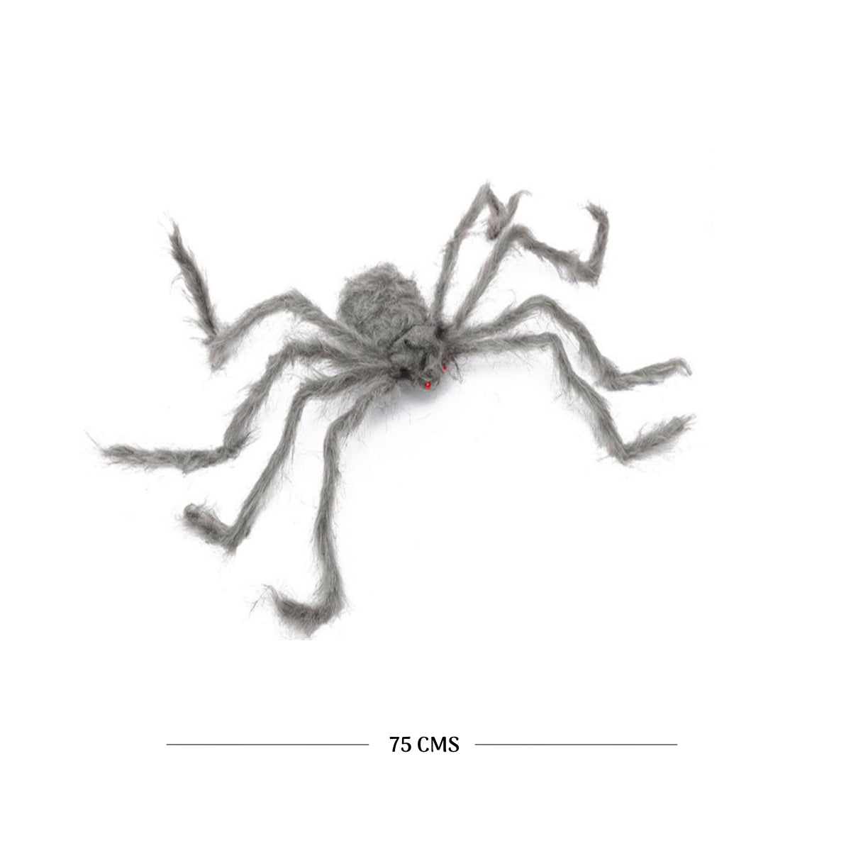 ARAÑA GRIS