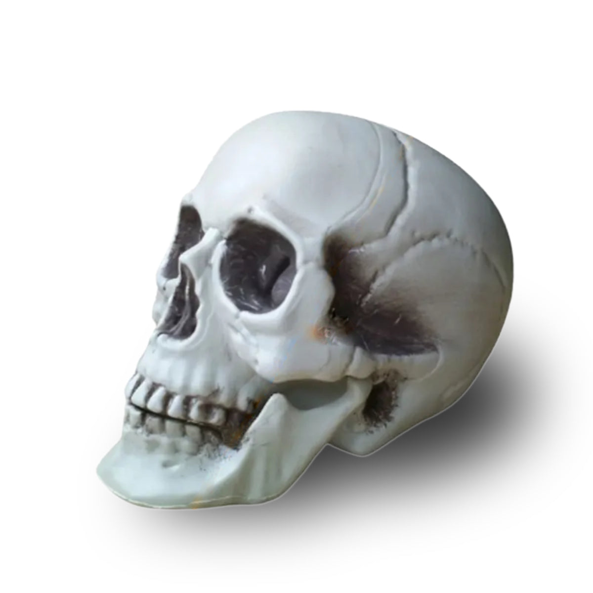 CALAVERA HUMANA DECORACIÓN