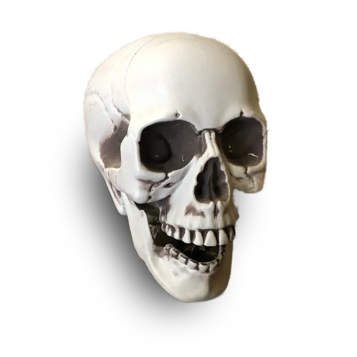 CALAVERA HUMANA DECORACIÓN 20