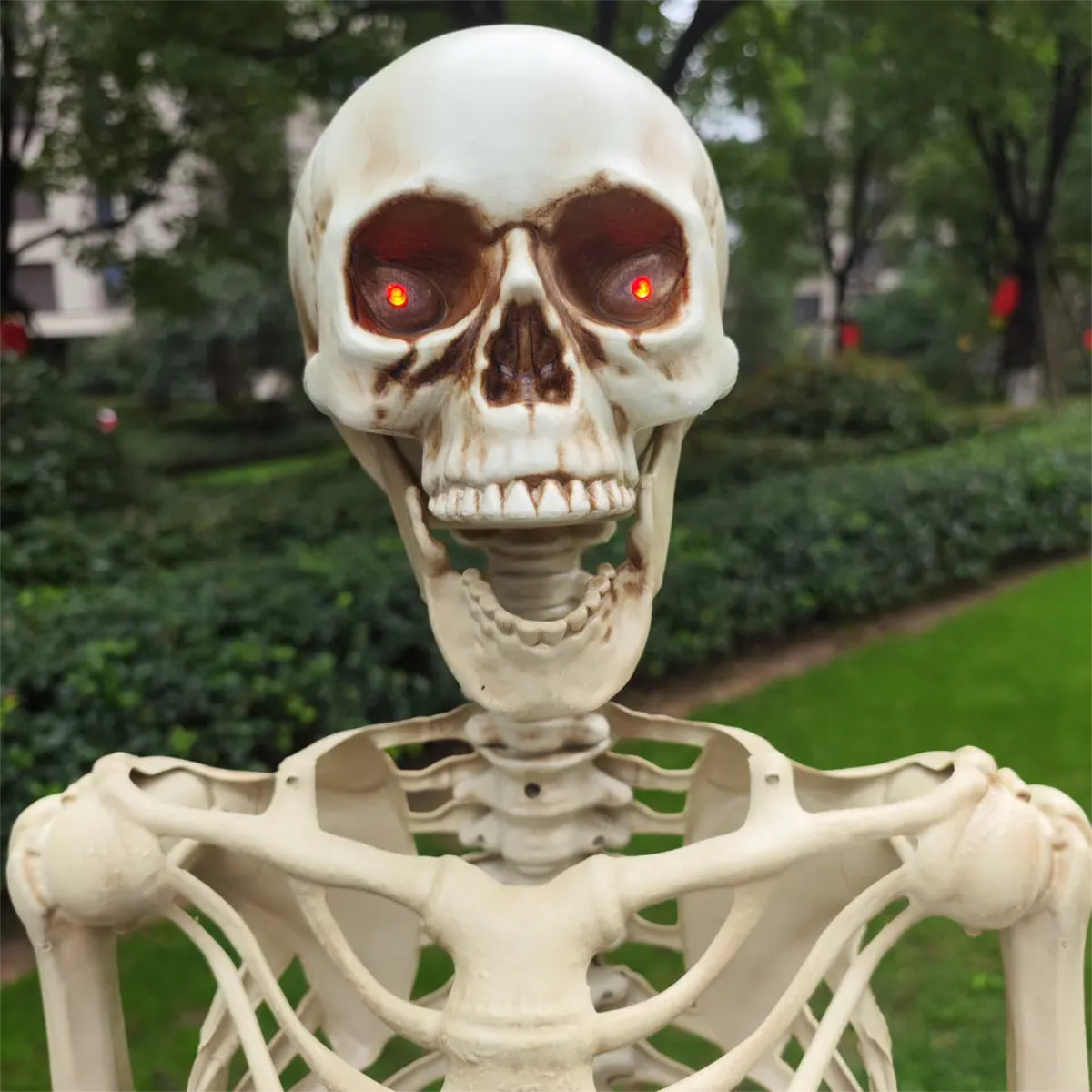 ESQUELETO TAMAÑO HUMANO LED