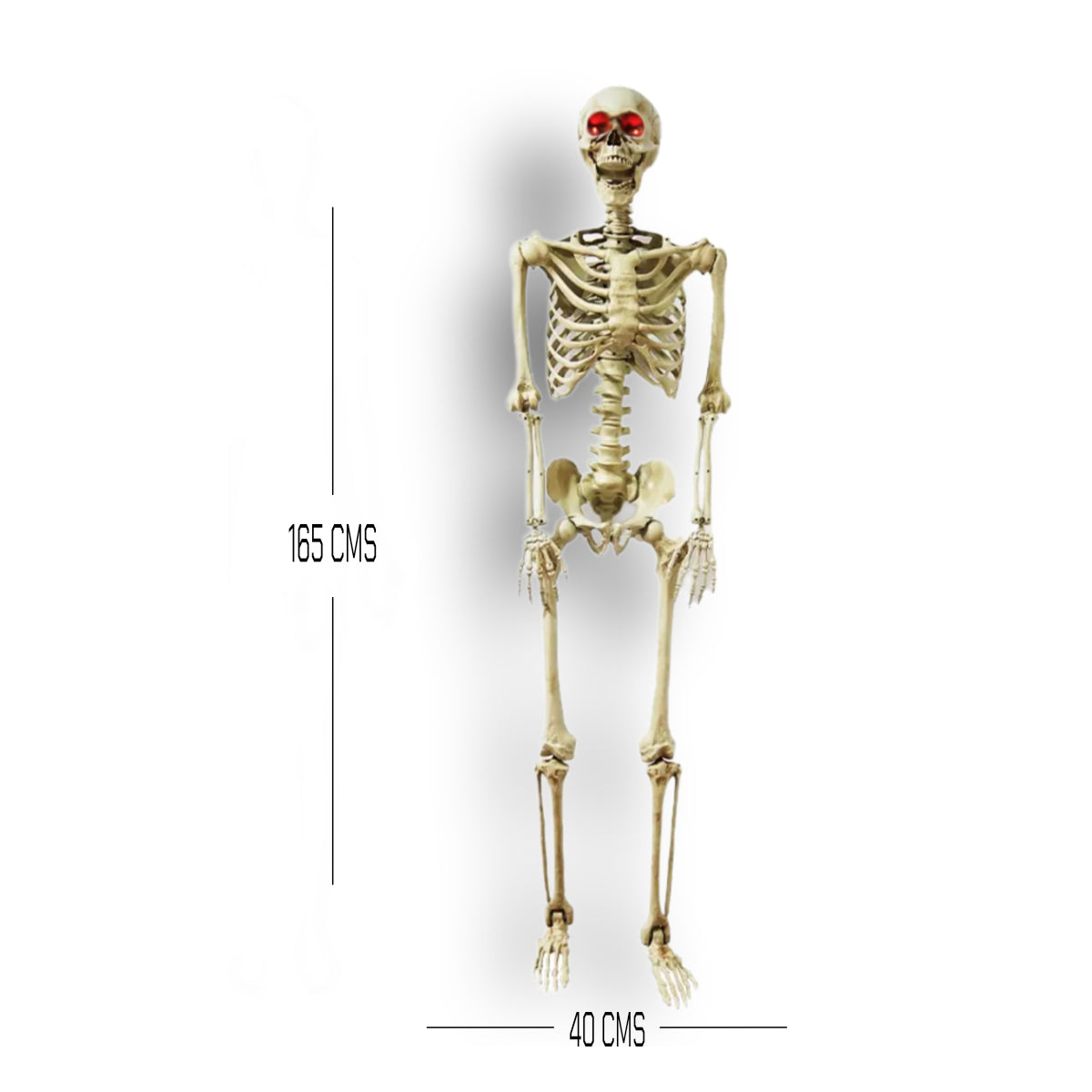 ESQUELETO TAMAÑO HUMANO LED