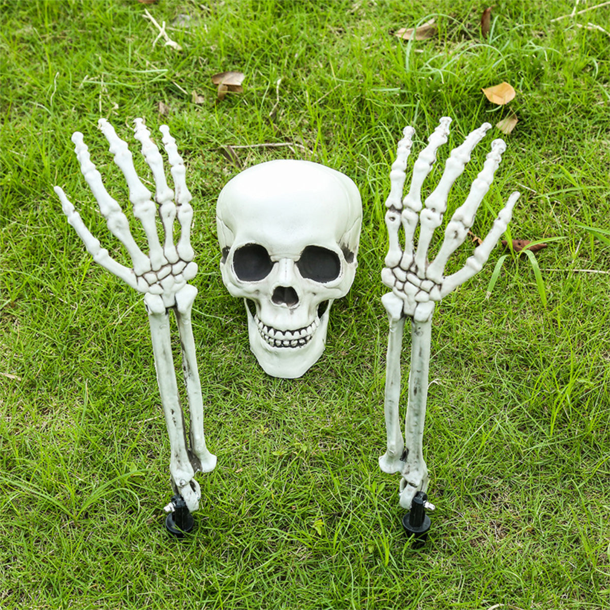 CONJUNTO CALAVERA DECORACIÓN