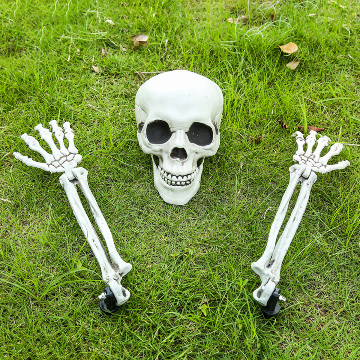 CONJUNTO CALAVERA DECORACIÓN
