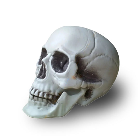 CALAVERA HUMANA DECORACIÓN