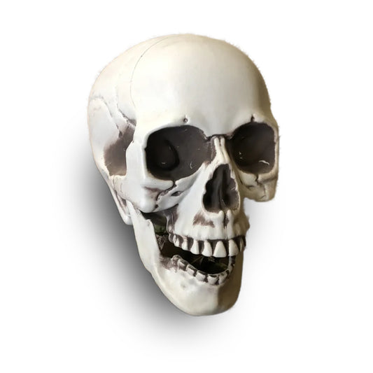 CALAVERA HUMANA DECORACIÓN 20