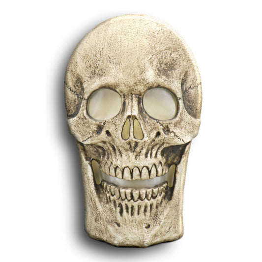 CALAVERA ANIMADA GIGANTE LED DE 60 x 36 x 16