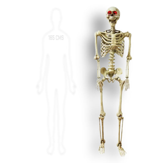ESQUELETO TAMAÑO HUMANO LED