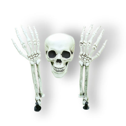 CONJUNTO CALAVERA DECORACIÓN
