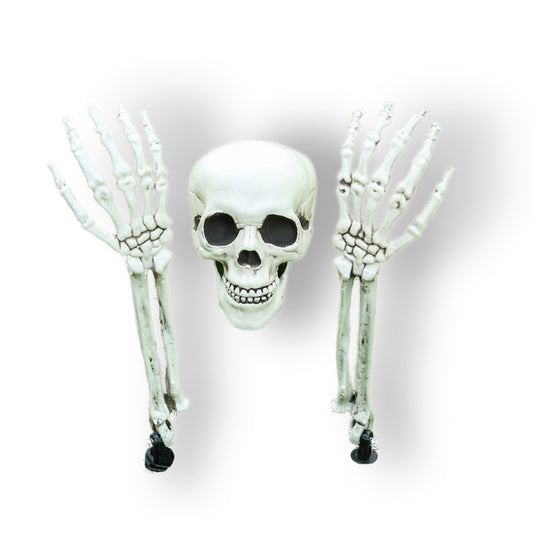 CONJUNTO CALAVERA DECORACIÓN